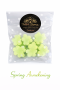 Spring Awakening Clouds In A Medium Bag