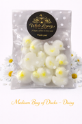 Daisy Ducks In A Medium Bag