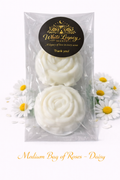Daisy Roses In A Medium Bag