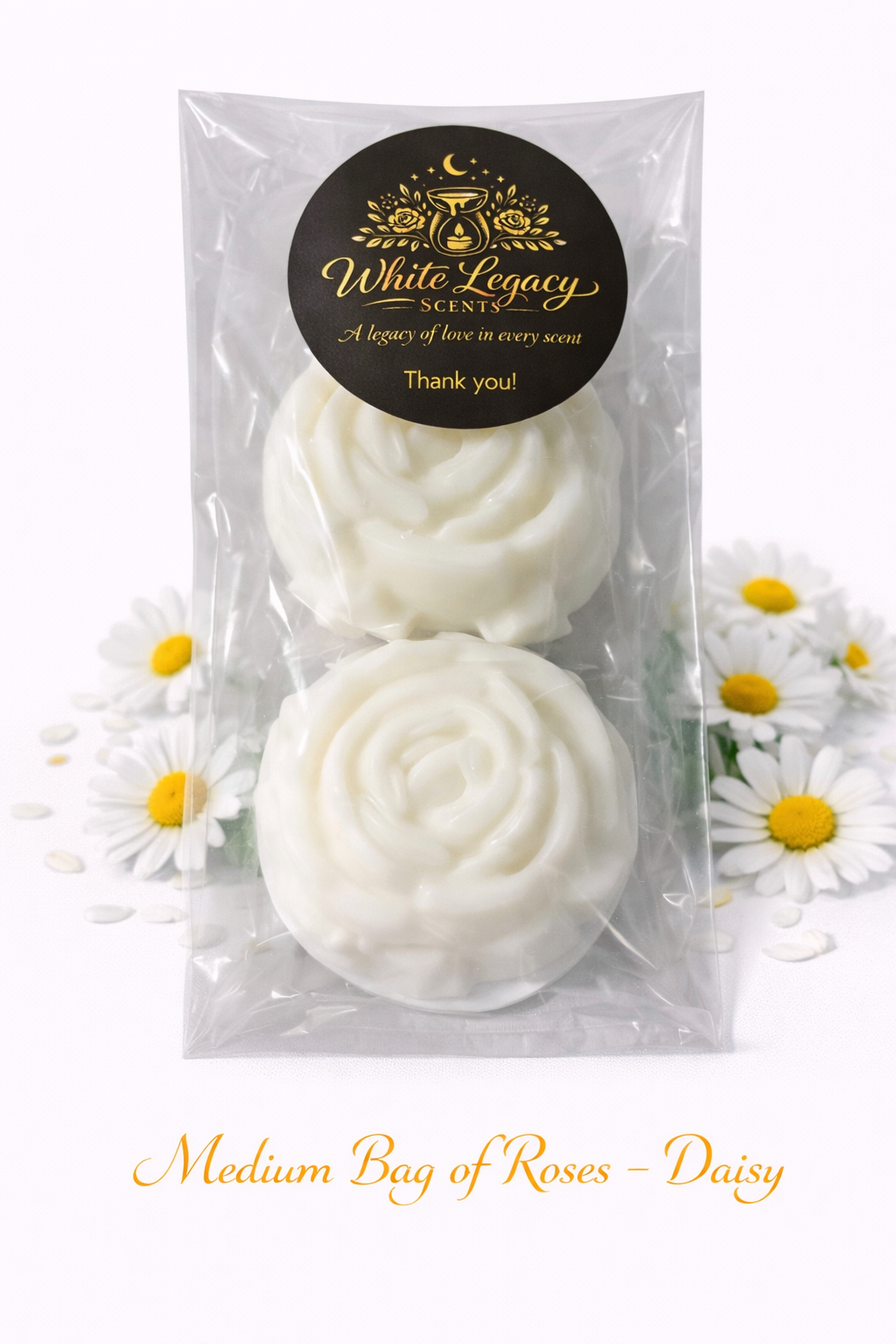 Daisy Roses In A Medium Bag