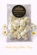 Daisy Medium Bag Of Skulls