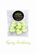 Spring Awakening Ducks In A Small Bag